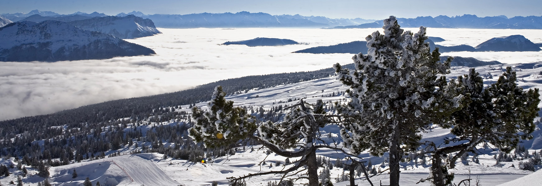 Location Ski Intersport Aillon le Jeune